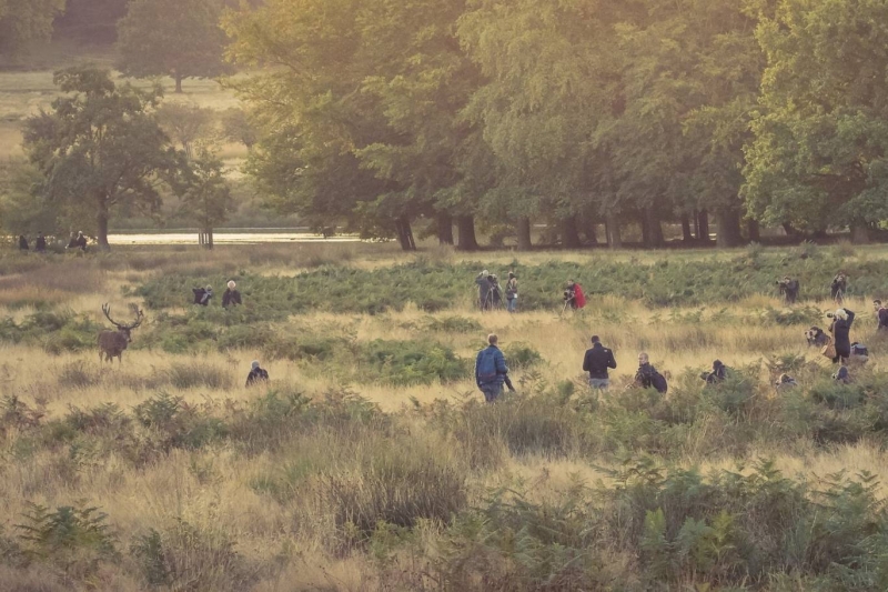 Zaskakująca ilość fotografów w Richmont Park.