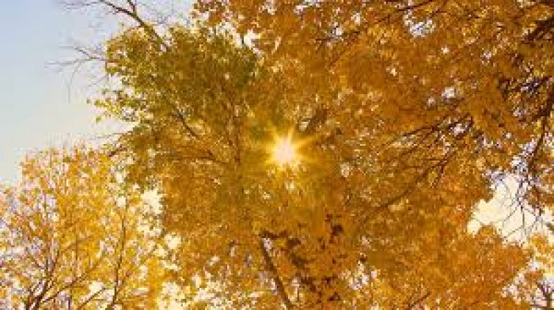 Cieplejsza pogoda w połowie tygodnia.