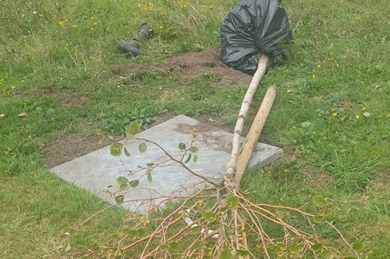 Sprawcy nie mają sumienia?